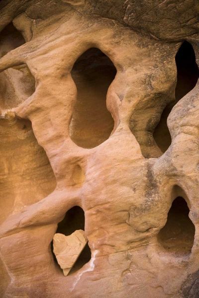 UT, Canyonlands NP Heart-shape rock in sandstone